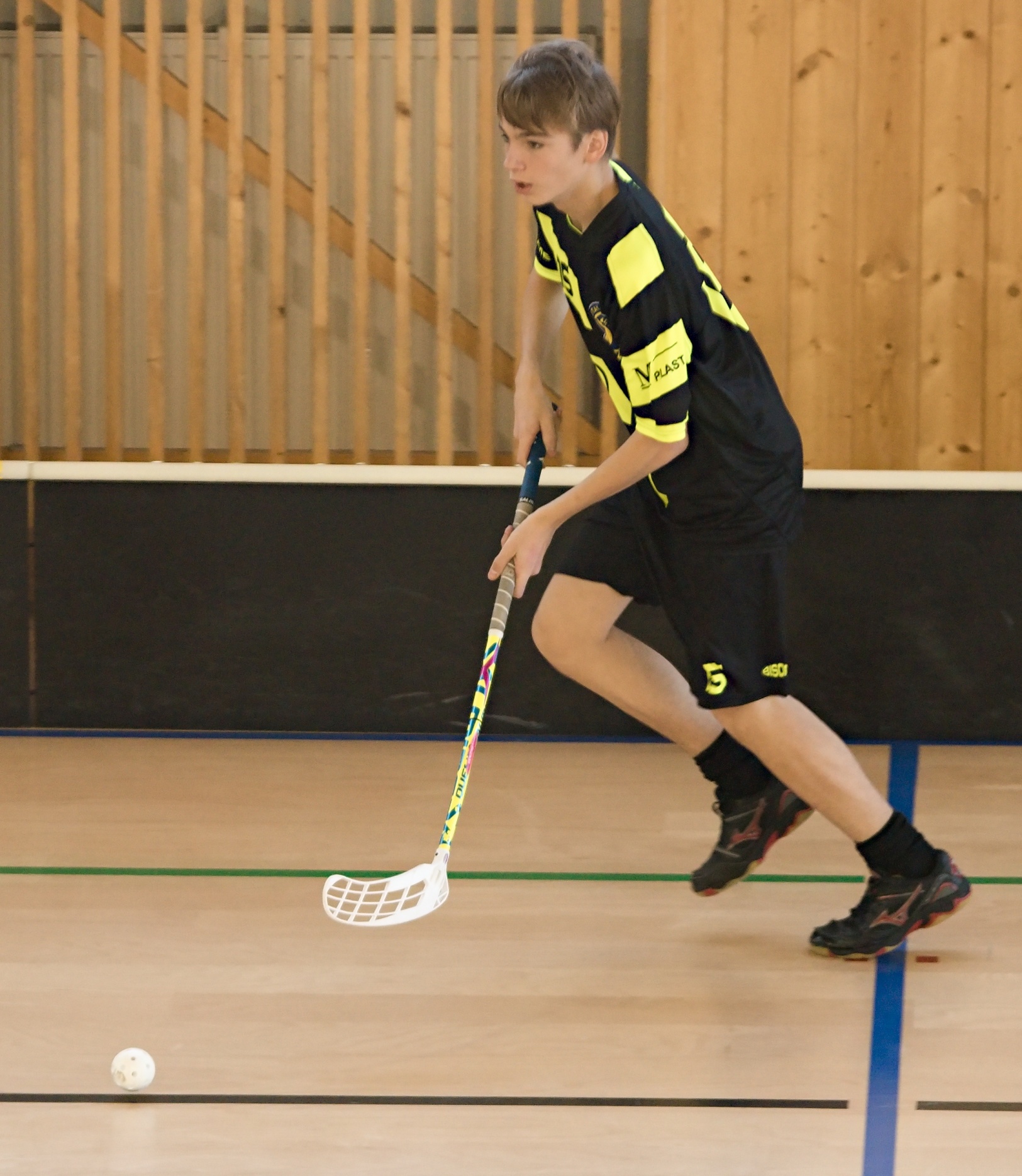 JunciLedec241015 106